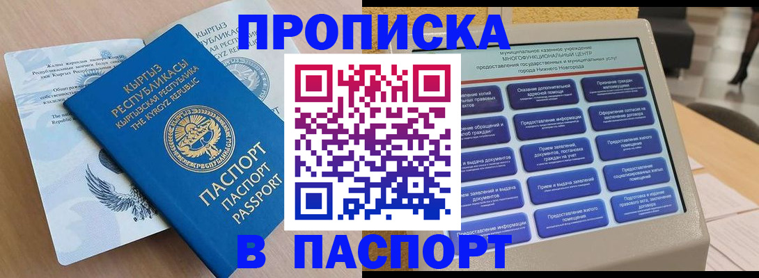 регистрация в Кингисеппе